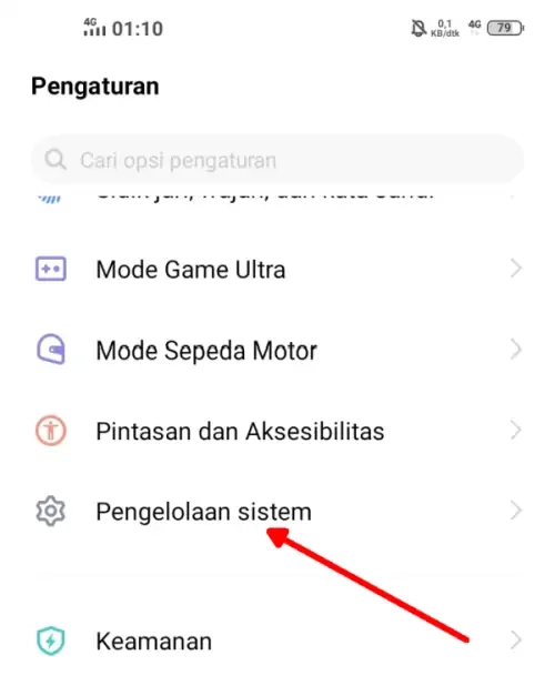 Pengaturan Pengelolaan System Vivo