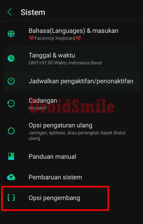Masuk Ke Opsi Pengembang Infinix