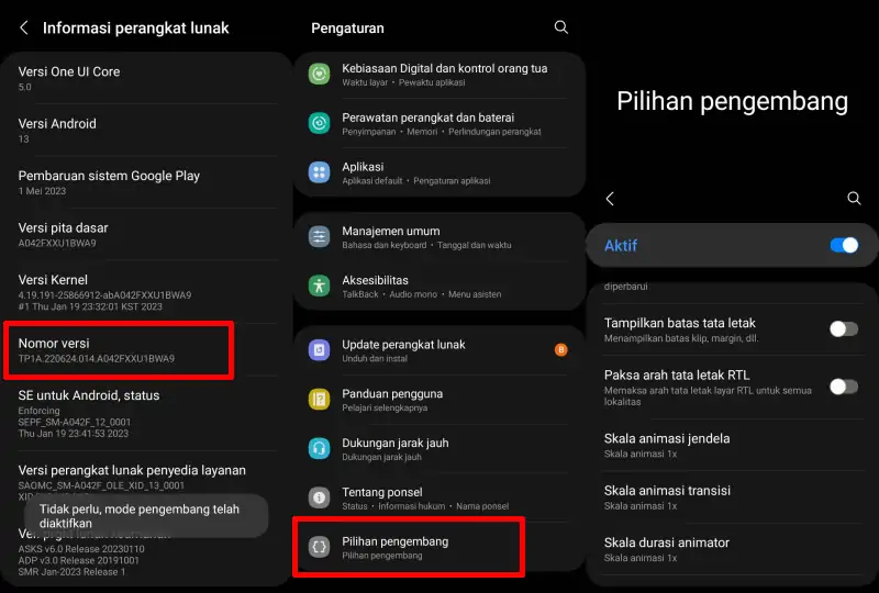 Aktifkan Pilihan Pengembang
