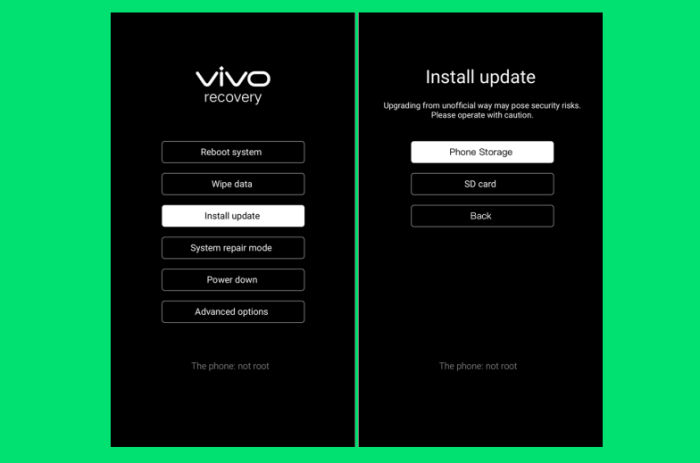 Install update via Vivo Recovery