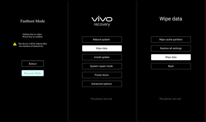 Wipe Data Vivo Recovery